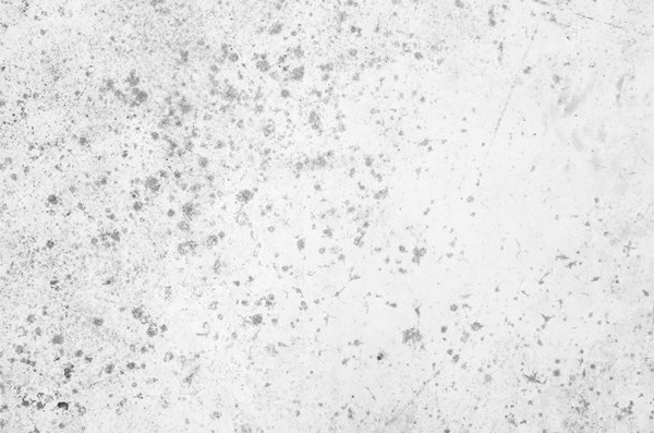 防霉涂料和防霉乳膠漆區(qū)別在哪?是不是一樣的?