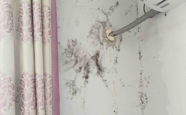 防霉涂料是不是乳膠漆?有啥區(qū)別?