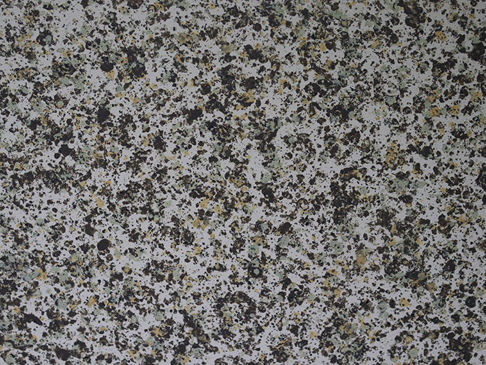 水包水仿石漆多少錢一個平米?